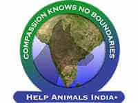 animal help foundation